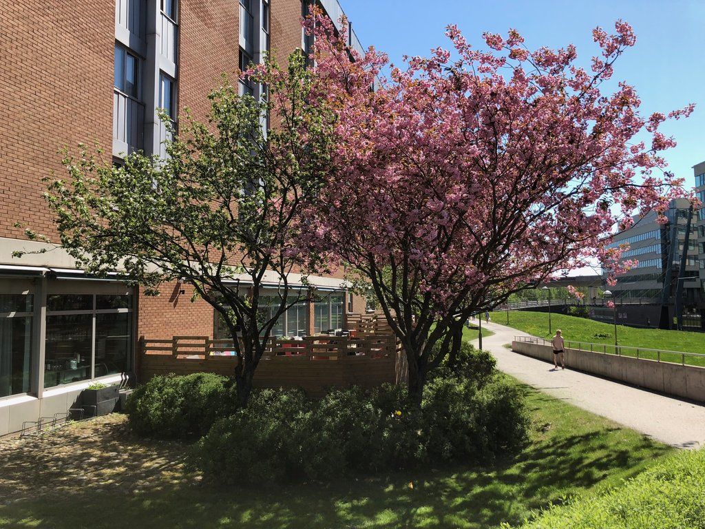 Scandic Kista Hotel